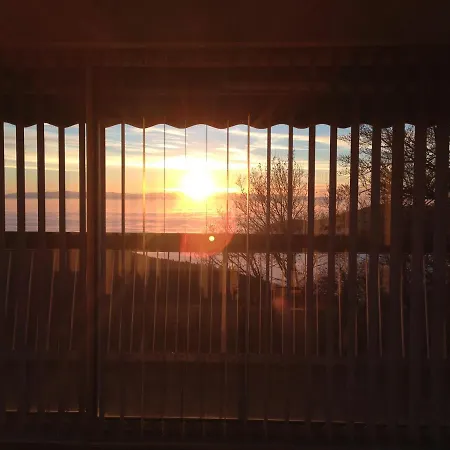 Petit Moment De Bonheur