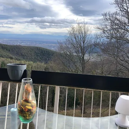 Petit Moment De Bonheur